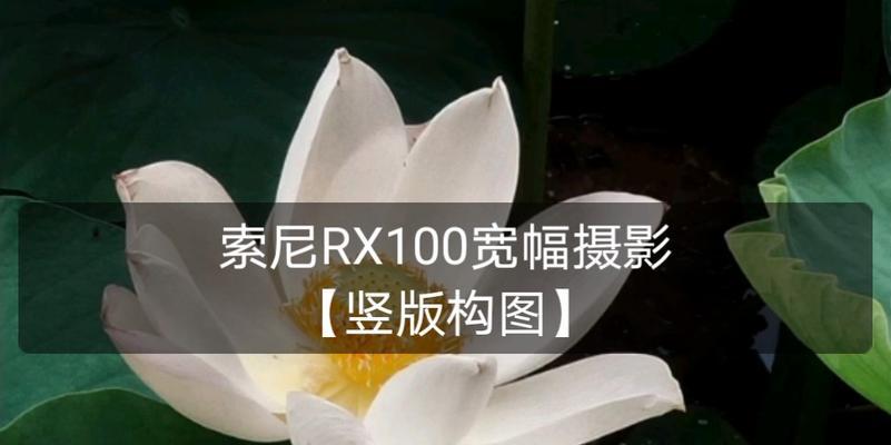 索尼相机怎么开辅助构图？辅助构图功能有什么好处？  第2张