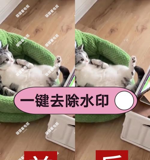 苹果手机如何给手机加水印？加水印失败怎么办？  第1张