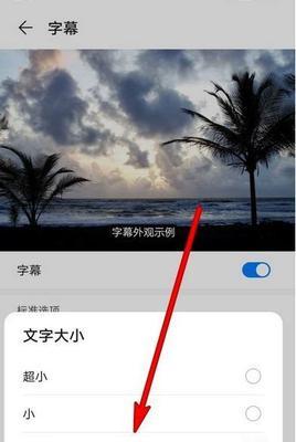 手机软件字幕如何放大？  第2张