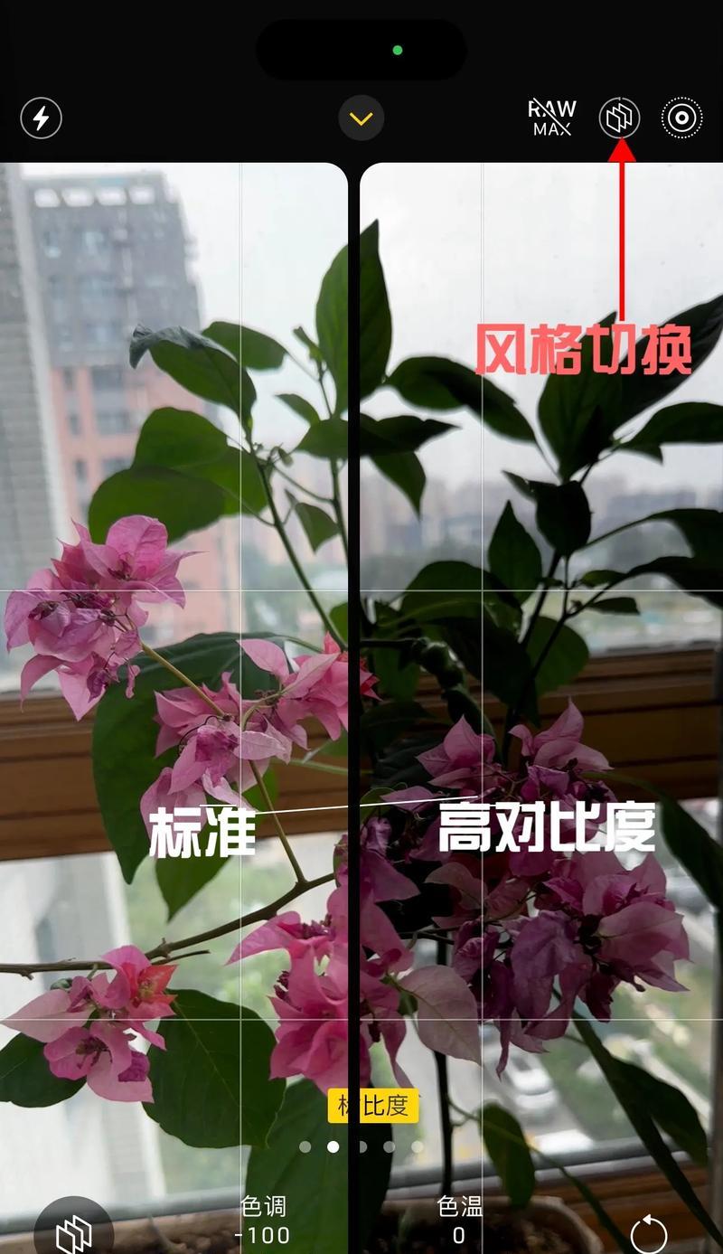 苹果小手机拍照技巧有哪些？  第3张
