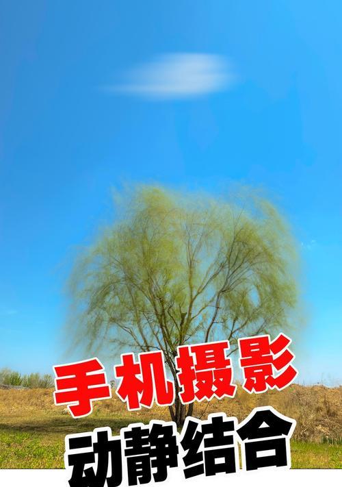 苹果小手机拍照技巧有哪些？  第2张
