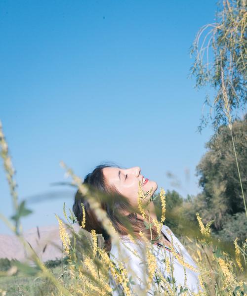 苹果手机树林人像拍摄技巧有哪些？如何避免树林拍摄中的常见问题？  第1张
