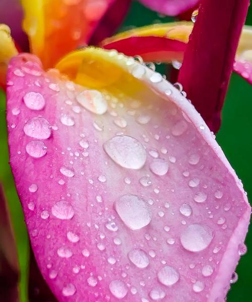 华为手机怎样才能拍出雨滴效果的照片？  第1张