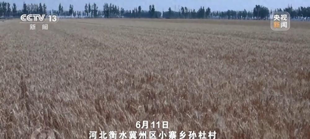 农机装上“智慧大脑”、无人机变身照明灯,科技助力“麦”向丰收  第1张