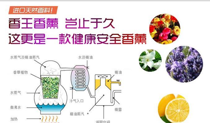 汽车蒸汽香水如何选择？哪种香味更受欢迎？  第3张