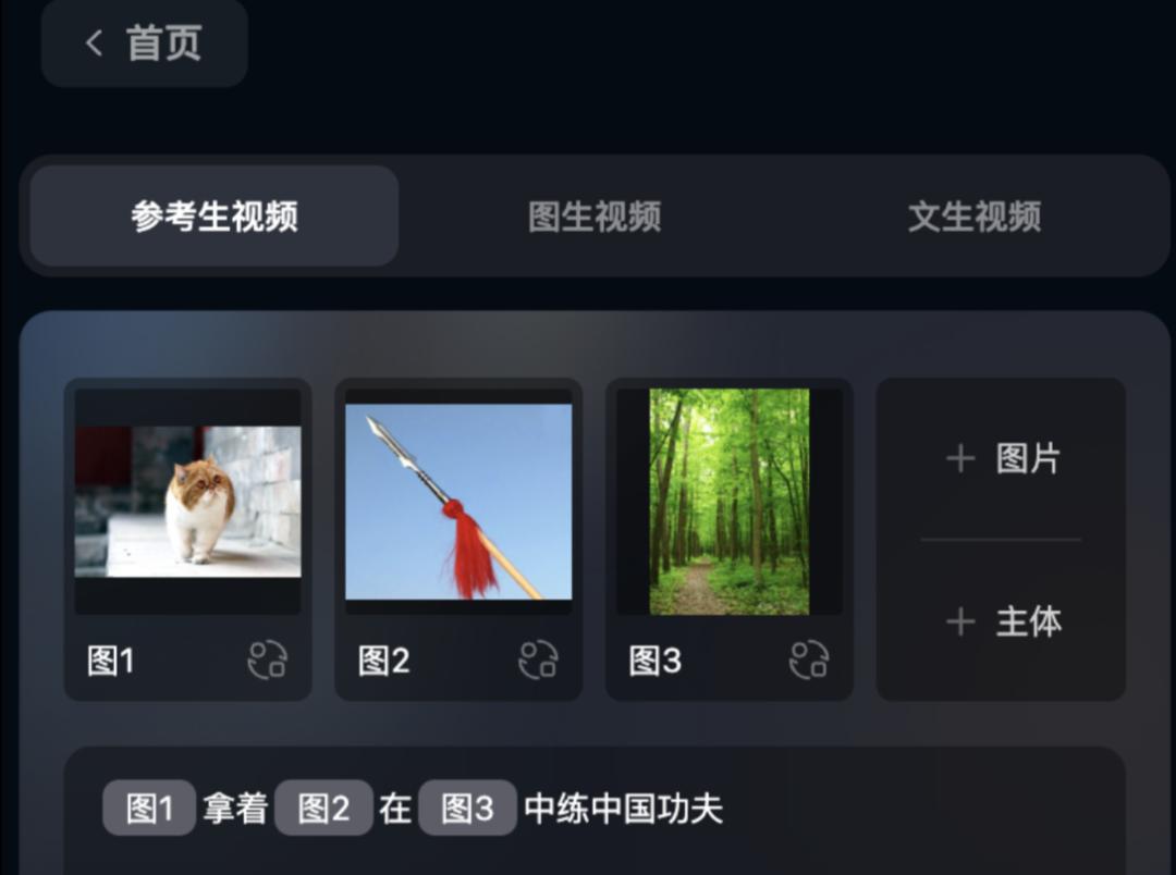 实测Vidu Q1参考生功能，看到诸葛亮丘吉尔拿破仑在长城拍照留念  第9张