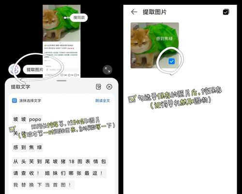 vivo手机水印怎么添加？添加水印的步骤是什么？  第2张