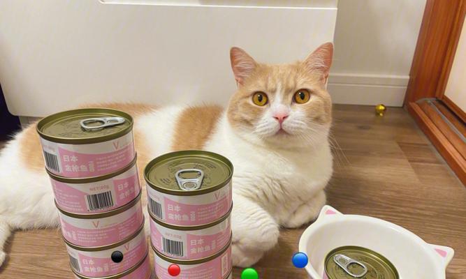 胖猫使用的手机软件是什么？这些软件有什么特点？  第1张