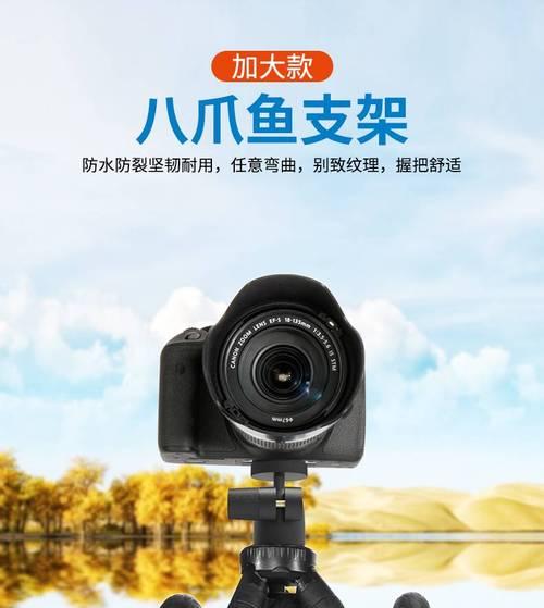 单反相机拍鱼设置技巧有哪些？  第1张