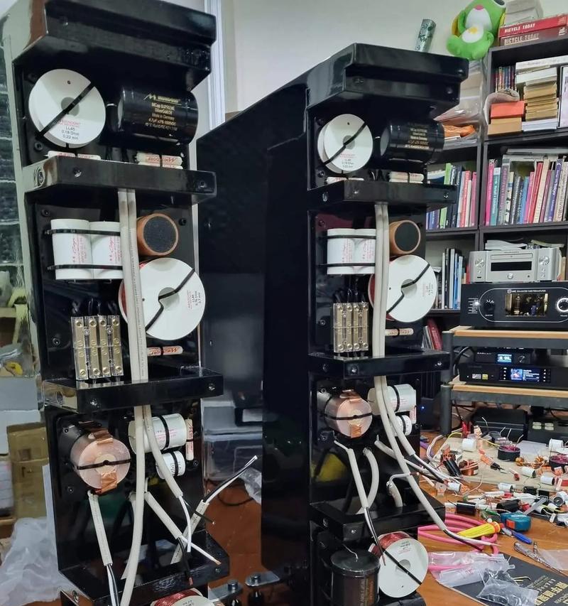 泰斗顶级音响的使用效果如何？泰斗顶级音响好用吗？  第1张