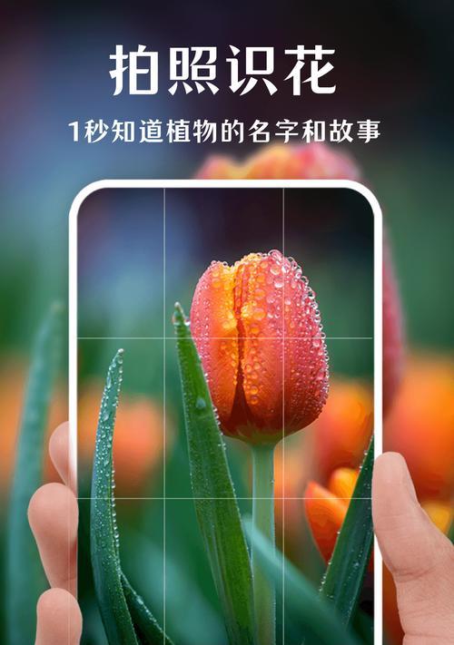 拍照识别垃圾的手机软件是什么？  第2张