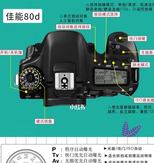 佳能相机拍摄通透感照片的技巧是什么？  第2张