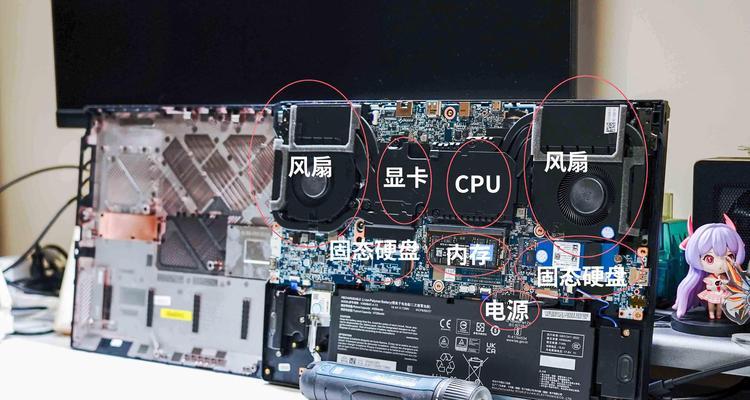 可拆卸笔记本惠普拆解步骤是什么？拆卸时安全吗？  第1张