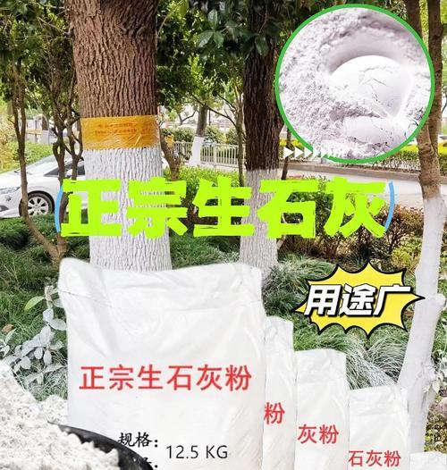 使用生石灰清洗油烟机（简单有效的清洁方法）  第1张