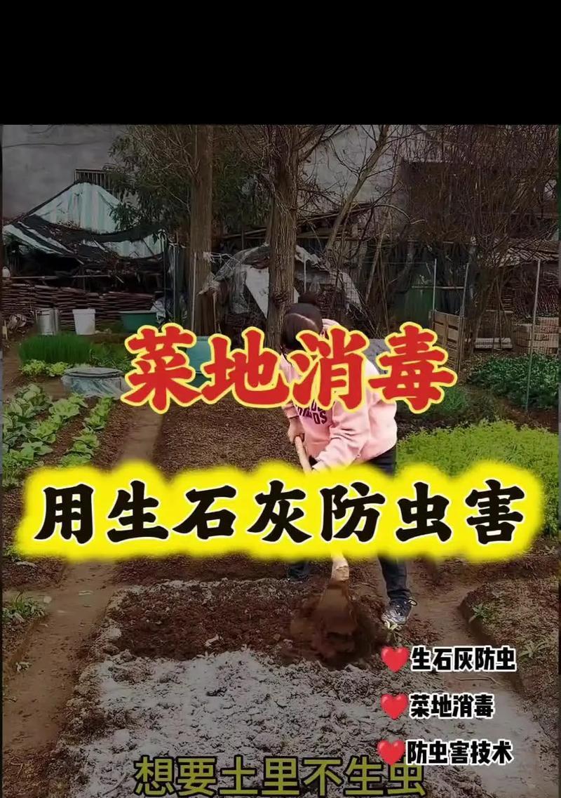 使用生石灰清洗油烟机（简单有效的清洁方法）  第2张
