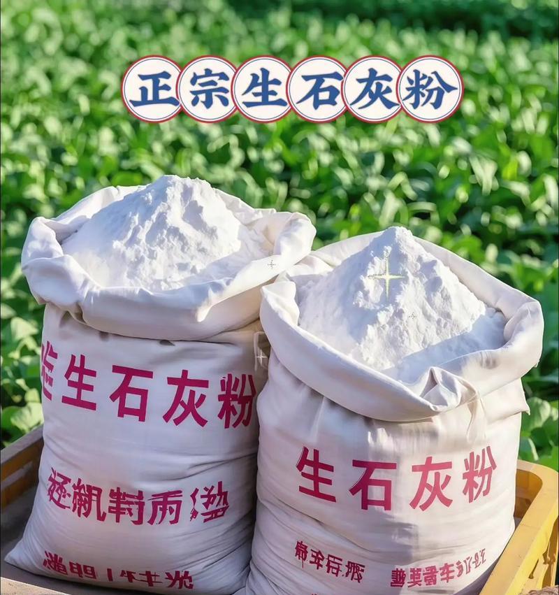 使用生石灰清洗油烟机（简单有效的清洁方法）  第3张
