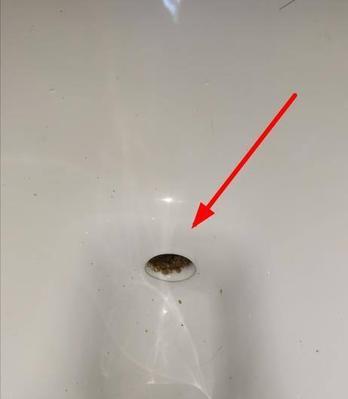 解决办公室饮水机漩涡问题的有效方法（提升办公环境质量，确保员工健康饮水）  第3张