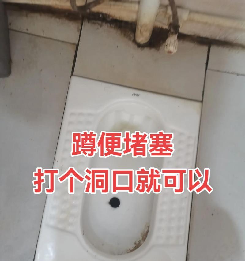 蹲便老是堵怎么办（解决蹲便堵塞问题的实用方法）  第3张