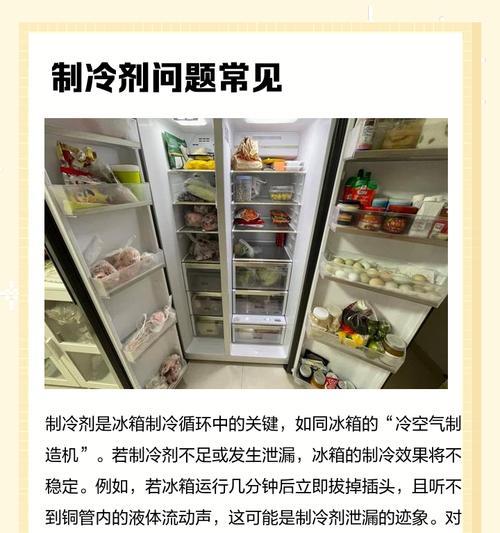 冰箱雪种泄露的原因及预防措施（揭开冰箱雪种泄露背后的真相，保障食品安全的重要性）  第1张