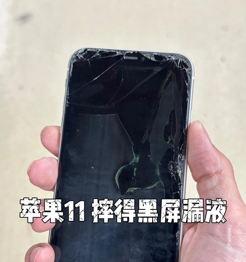换显示器后出现黑屏问题怎么解决？（应对换显示器后的黑屏困扰，学会以下技巧！）  第3张