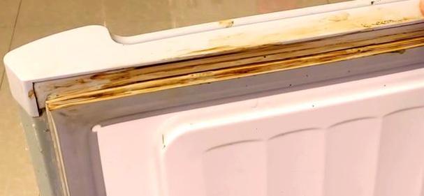 如何清洗冰箱封条？（保持卫生，延长使用寿命）  第3张