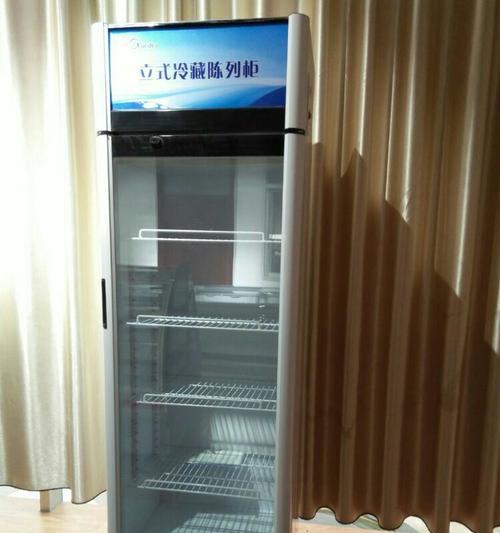 冰柜黄色的处理方法（让冰柜黄色焕然一新的小妙招）  第3张