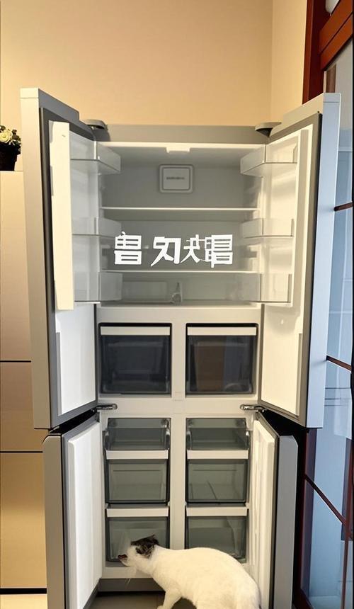 揭开西门子冰箱漏电故障的神秘面纱（常见故障特征及解决方法，保障家庭安全电器使用）  第1张