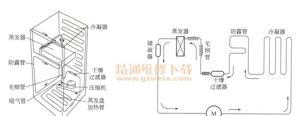 电冰箱的工作原理（揭秘电冰箱的神奇运转）  第3张