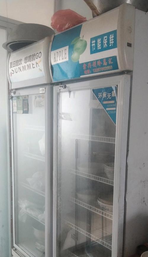 如何避免鱼缸受冰箱影响（保护鱼缸安宁的实用技巧）  第2张