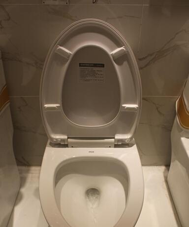 恒洁马桶冲水阀更换指南（轻松DIY，让你的马桶恢复正常冲水效果）  第1张