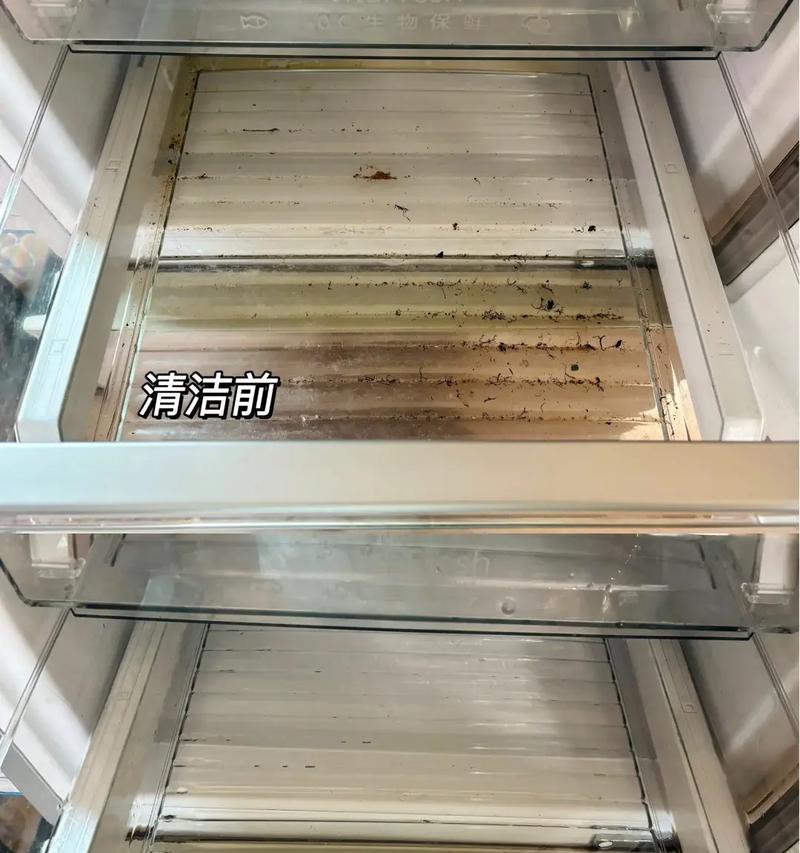 清洗冰箱内发霉的莓果方法（清除冰箱内发霉莓果的有效方法与技巧）  第3张