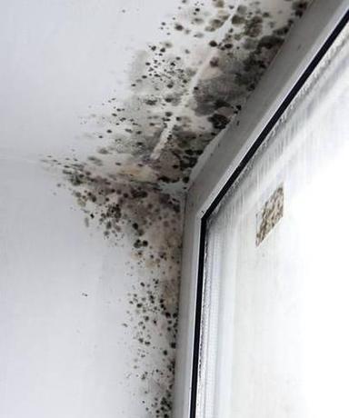 奥力移动空调漏水原因分析（探究奥力移动空调漏水的原因及解决方法）  第1张