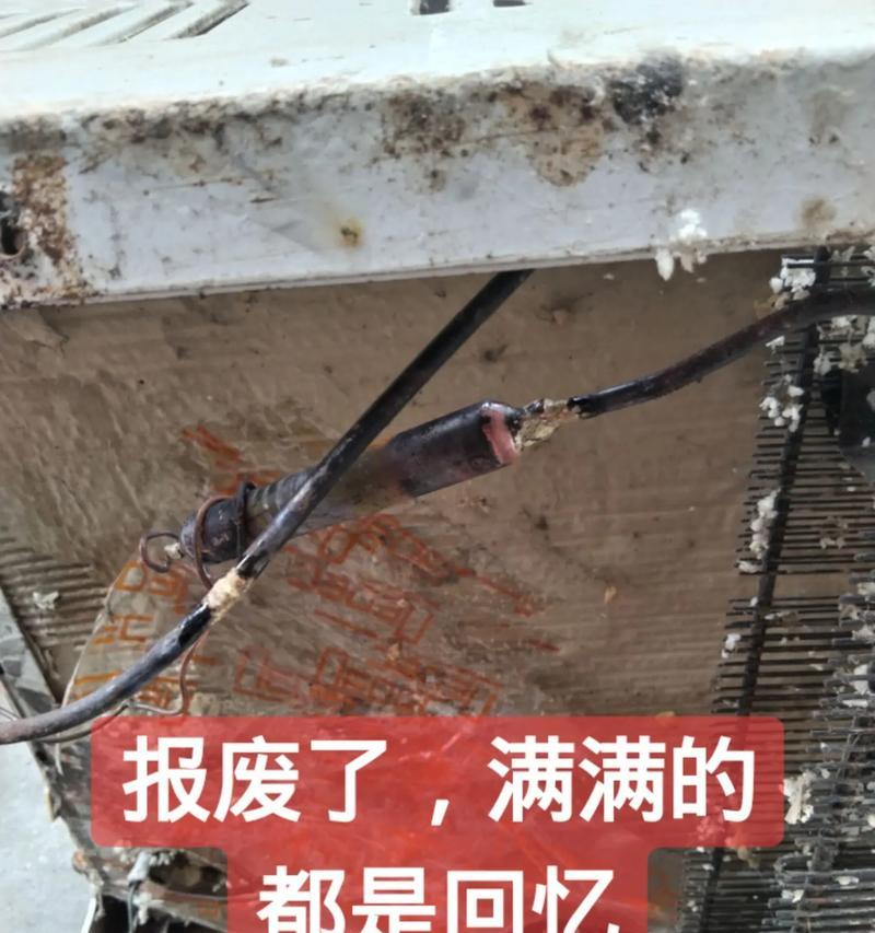 冰柜发黑怎么处理（轻松解决冰柜发黑问题的方法与技巧）  第2张