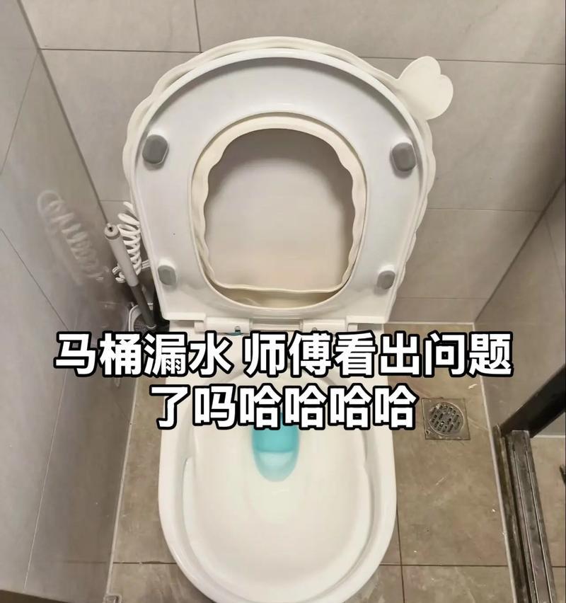 松下马桶漏水故障原因及处理方法（解决松下马桶漏水问题的有效措施）  第3张