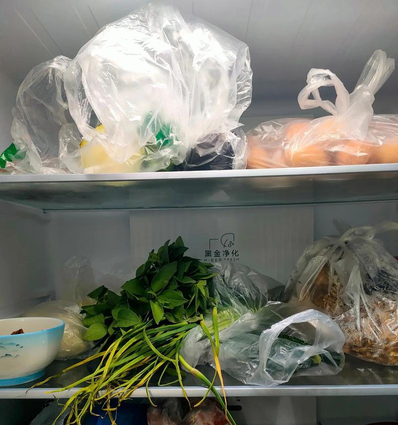 冰箱通电后多久可以放东西（解答冰箱通电后的最佳使用时间以及注意事项）  第3张