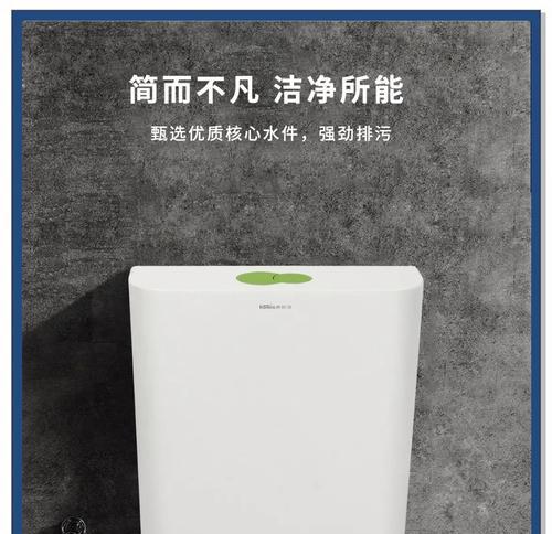 蹲厕漏水的原因及解决方法（水箱问题导致蹲厕漏水）  第3张