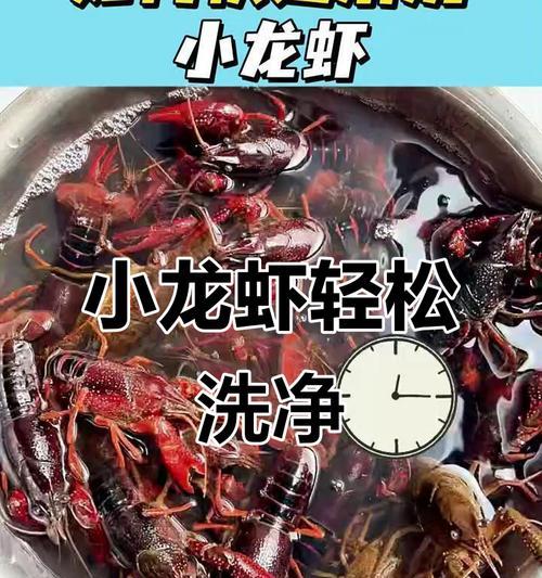 如何清洗小龙虾（掌握正确的清洗方法）  第3张