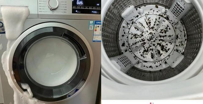 老式洗衣机清洁方法（如何彻底清洁老式洗衣机）  第3张
