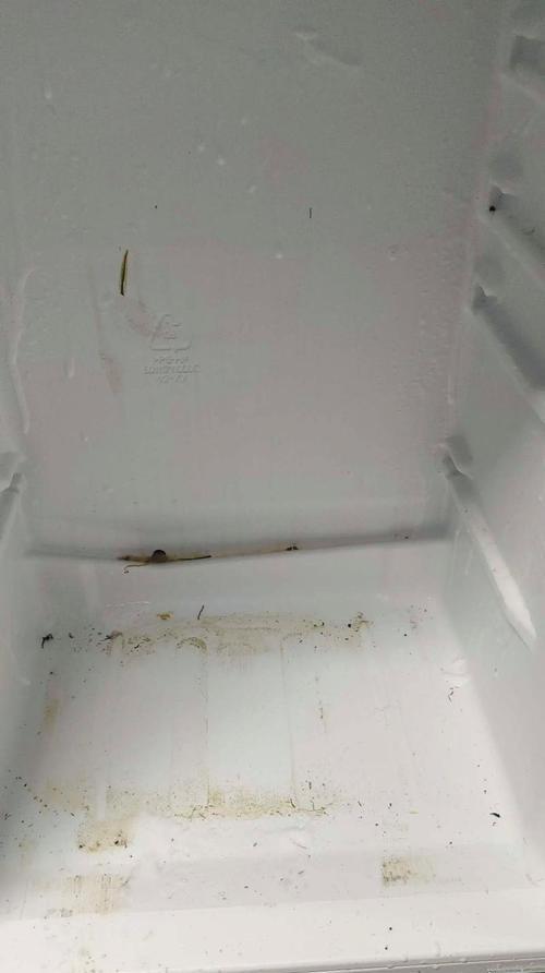 冰箱污垢处理方法（轻松清洁冰箱）  第3张