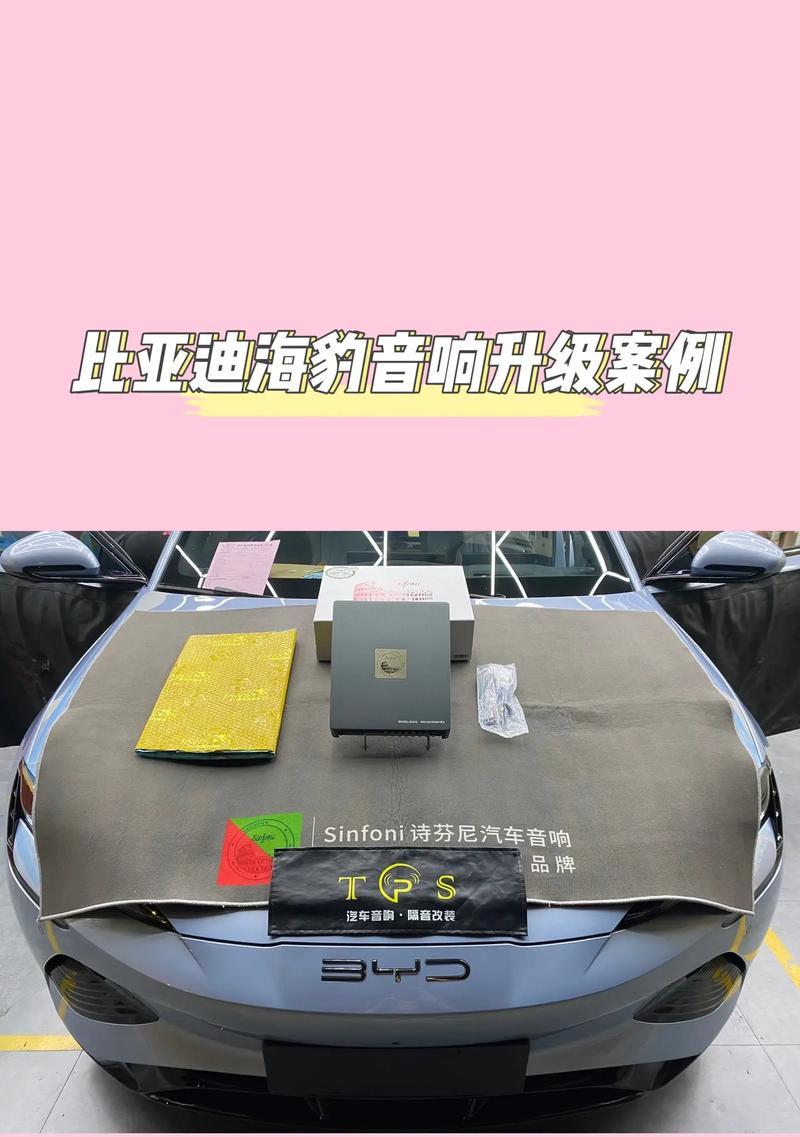 海豹豪华音响音质如何？使用体验怎么样？  第1张