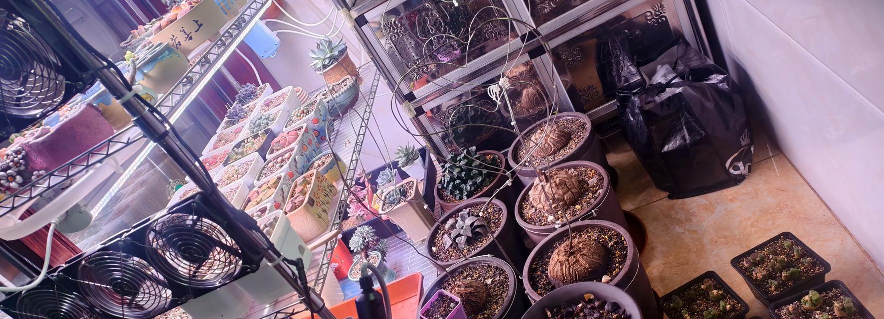 净水器废水处理的方法及意义（解决净水器废水问题的关键措施和实施方案）  第2张