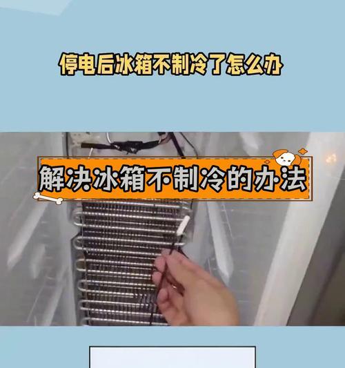 电冰箱不制冷的原因及排查方法（解决冰箱失效问题的关键步骤与技巧）  第2张