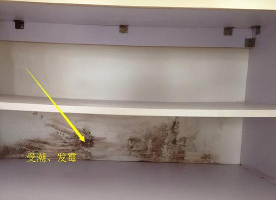 冰箱白胶发霉的处理方法（解决冰箱白胶发霉问题的实用技巧）  第2张