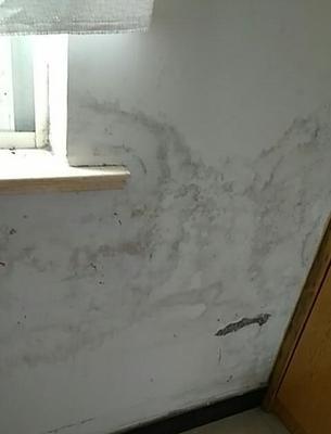 冰箱白胶发霉的处理方法（解决冰箱白胶发霉问题的实用技巧）  第3张