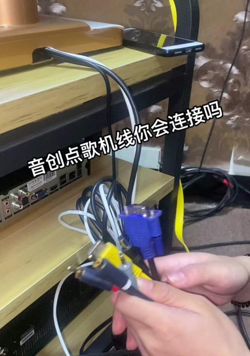 唯歌音箱连接电脑的步骤是什么？如何解决连接问题？  第2张